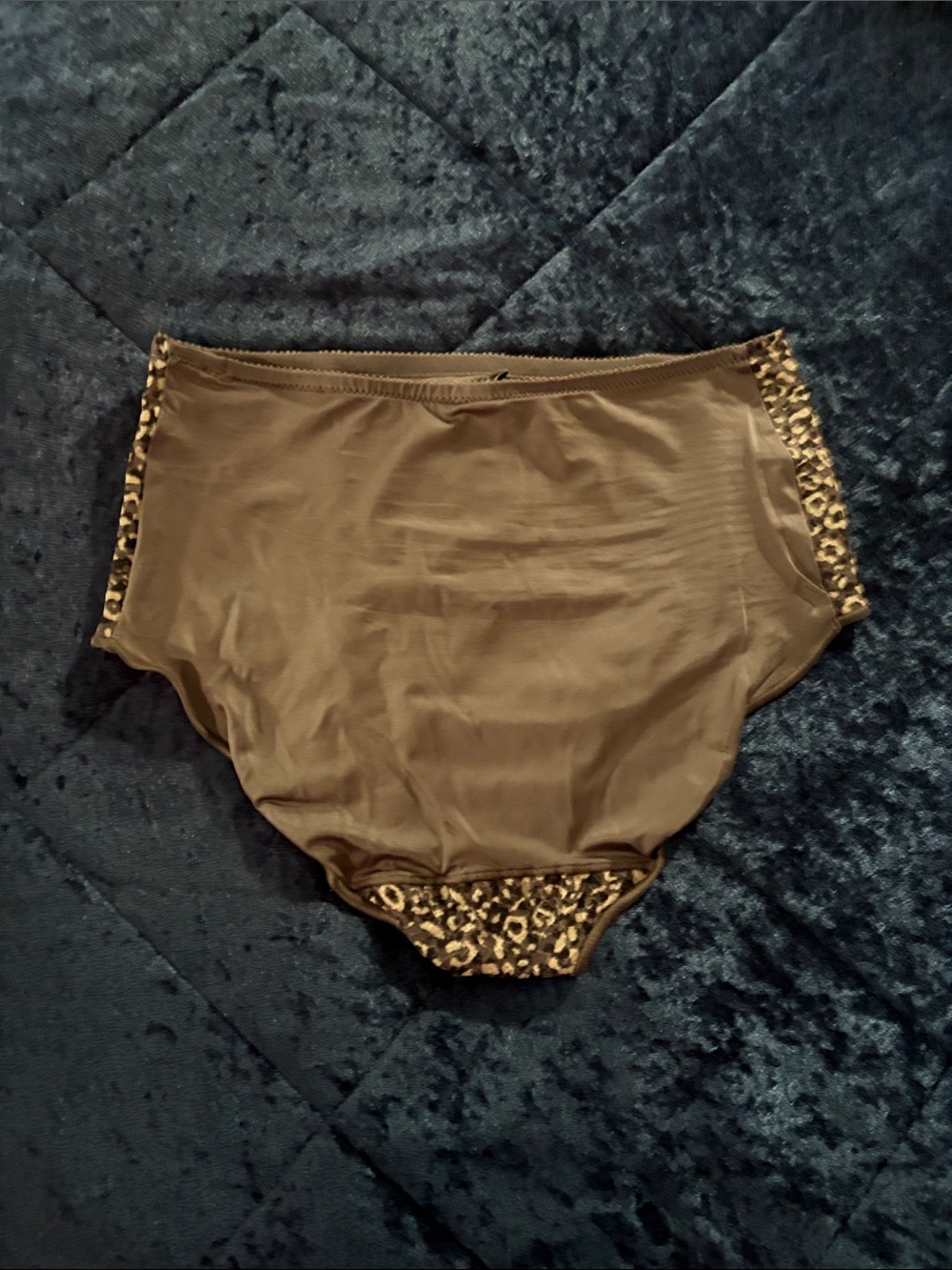NWOT Chantelle High Waist Panty Every
Curve Brief Cheetah Print L - Picture 3 of 5